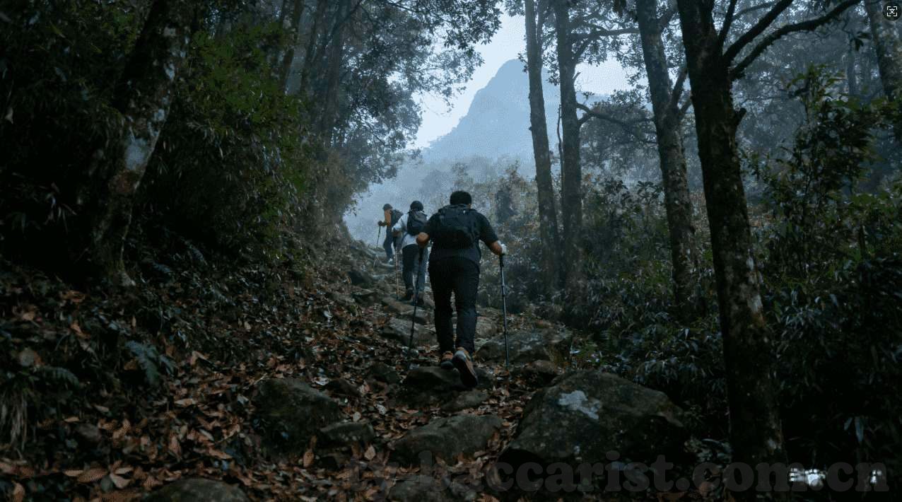 水果机电玩城下载送钱-水果机电玩城，下载即享送钱福利